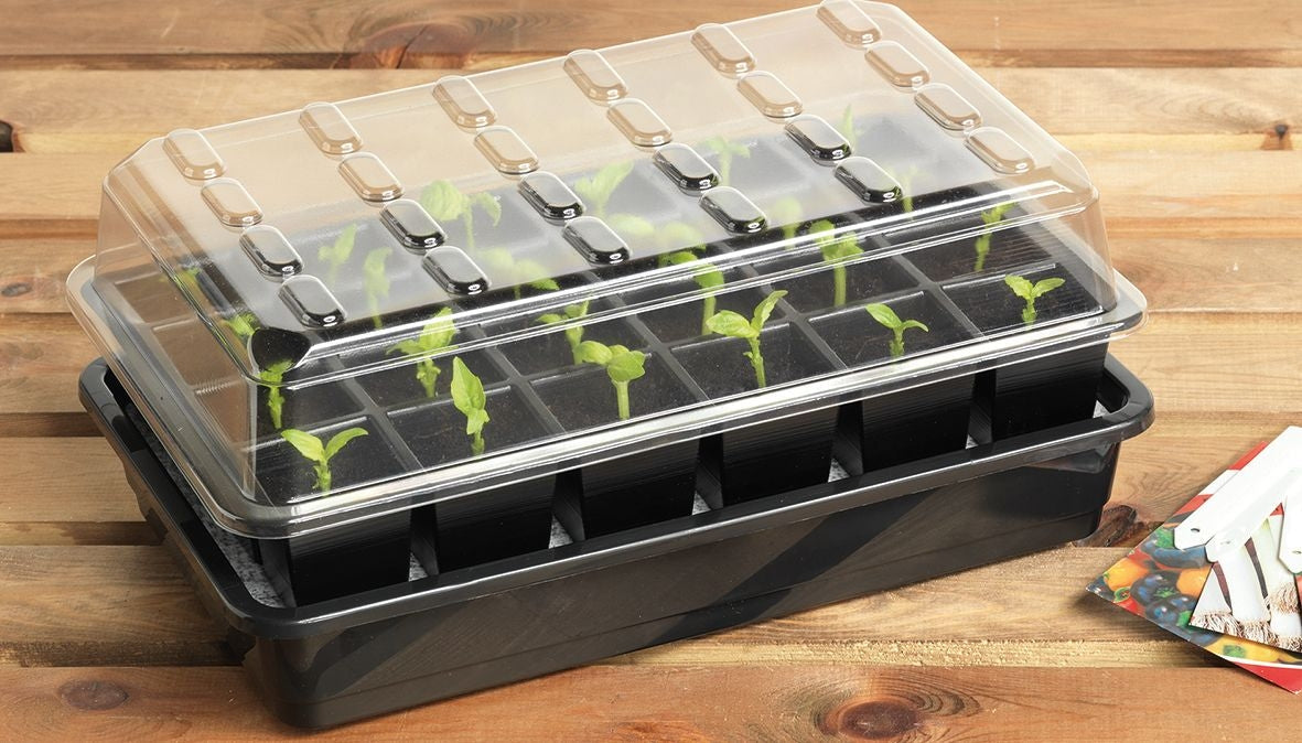 Garland 24 Cell Self Watering Propagator