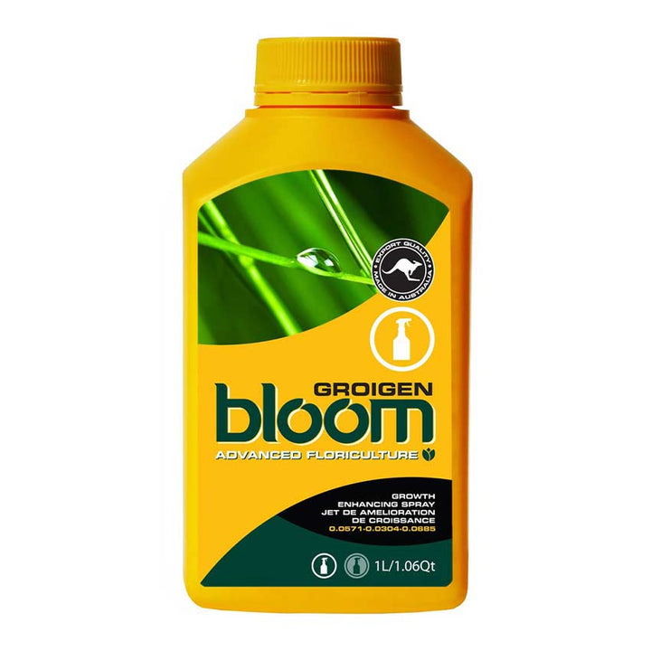 Bloom Groigen
