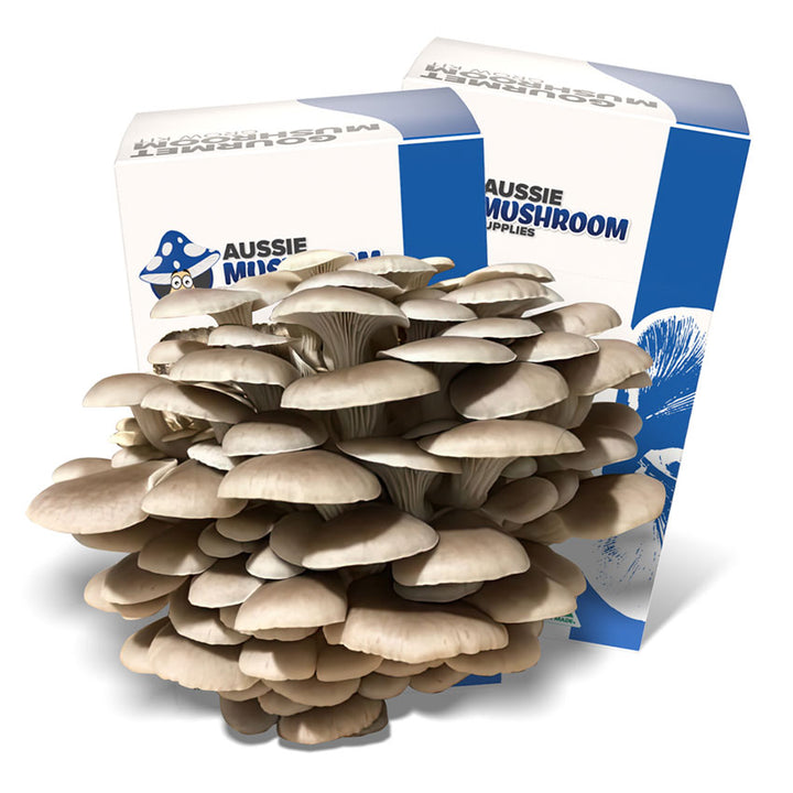 Aussie Mushroom Kit