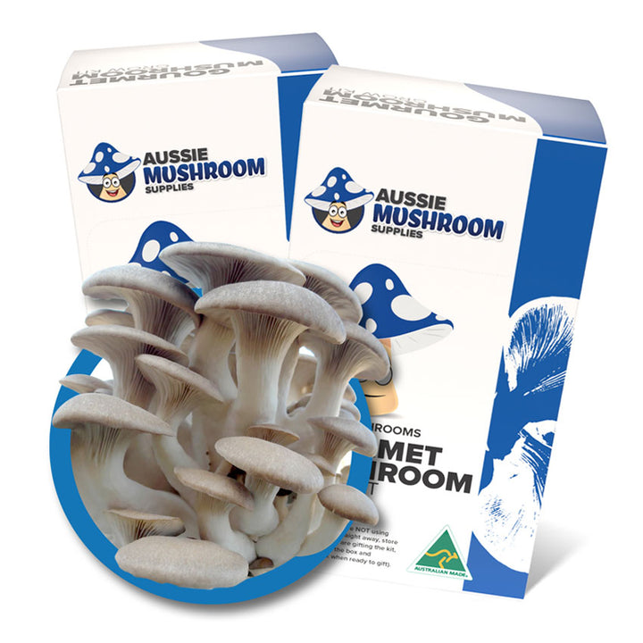 Aussie Mushroom Kit
