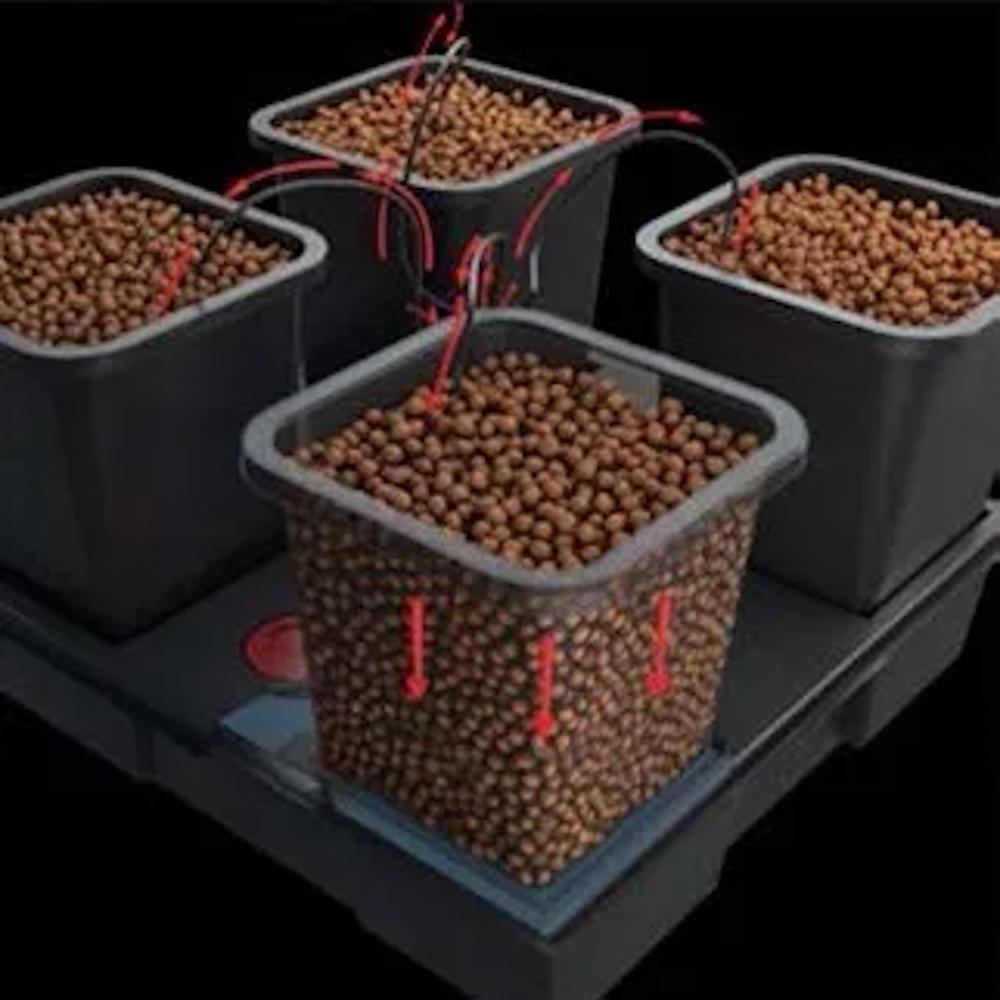 Wilma (Now Origin) XL Recirculating Hydroponic System with 70L Pump
