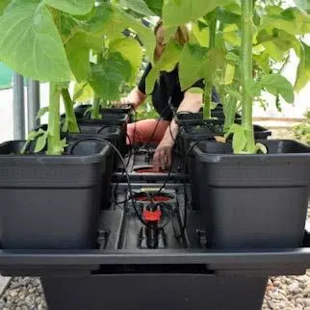 Wilma (Now Origin) XL Recirculating Hydroponic System with 70L Pump