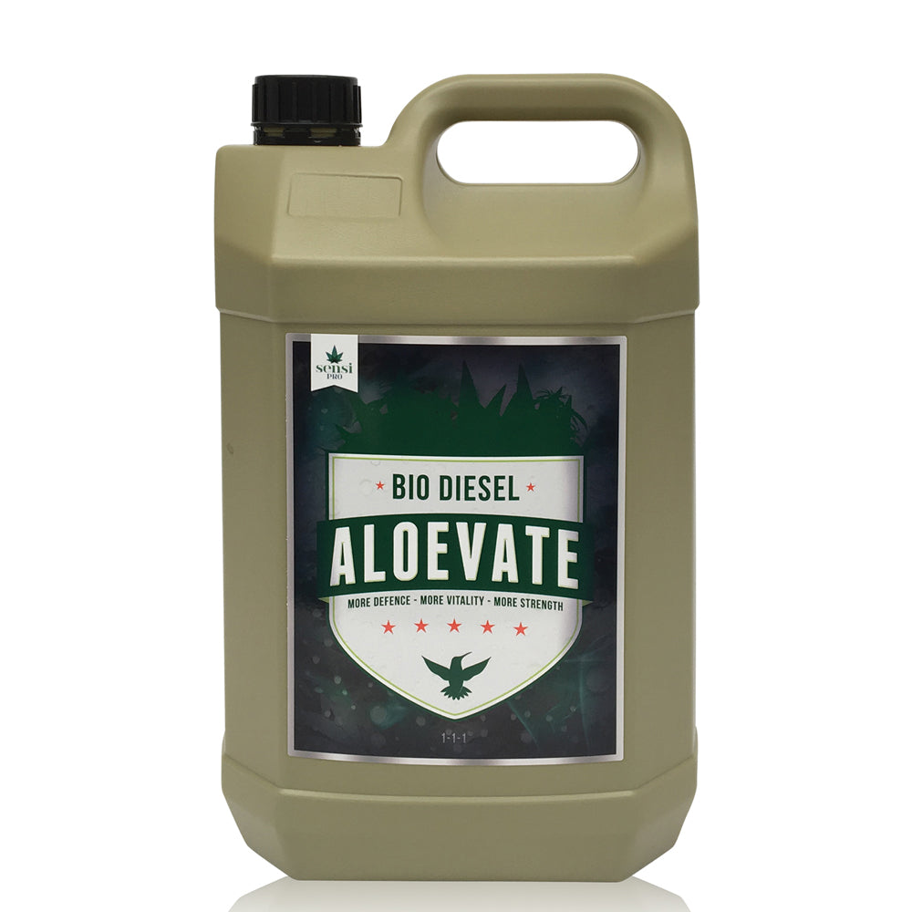 A large 5L plastic jerrycan of Aloevate Bio Diesel by Nature's Blend, featuring an olive green body, a black cap, and a dark green and white label on a clean white background.