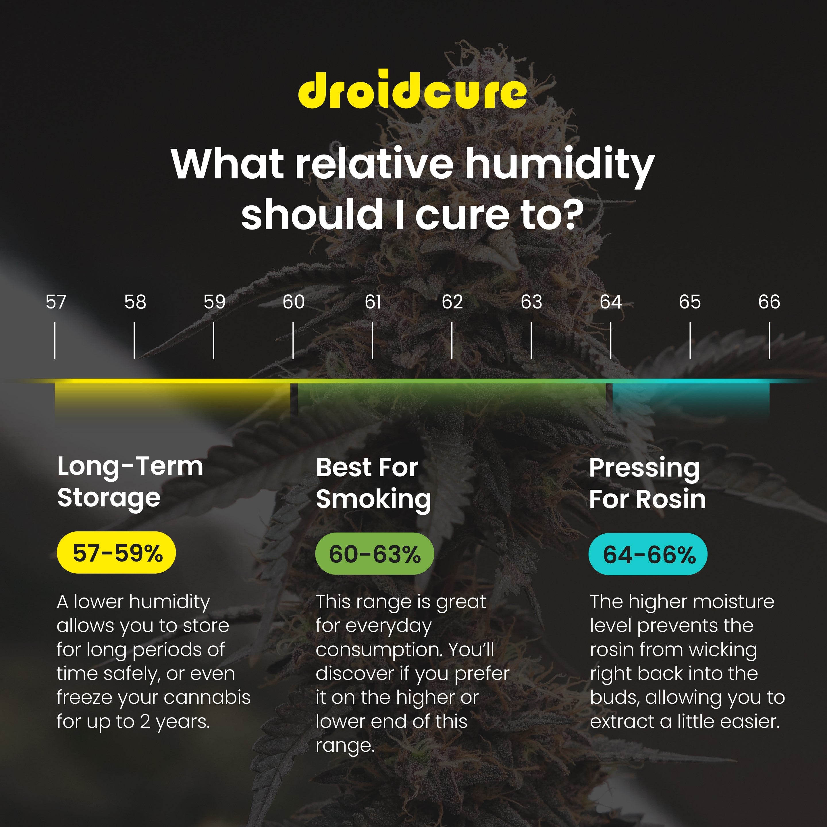 Droidcure
