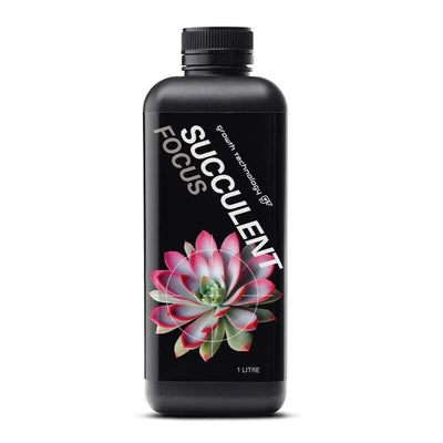 Black bottle labeled 'Succulent Focus' with a succulent plant design on a white background