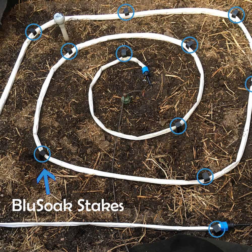 BluSoak Stakes - Mega