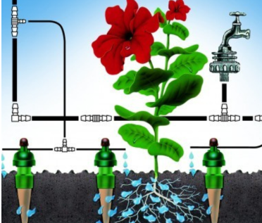 Preview image showcasing hydroponic system