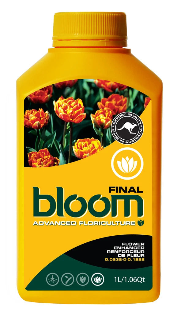 Bloom Final