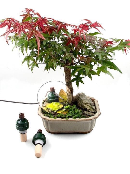 Blumat Bonsai with Dripper Tube