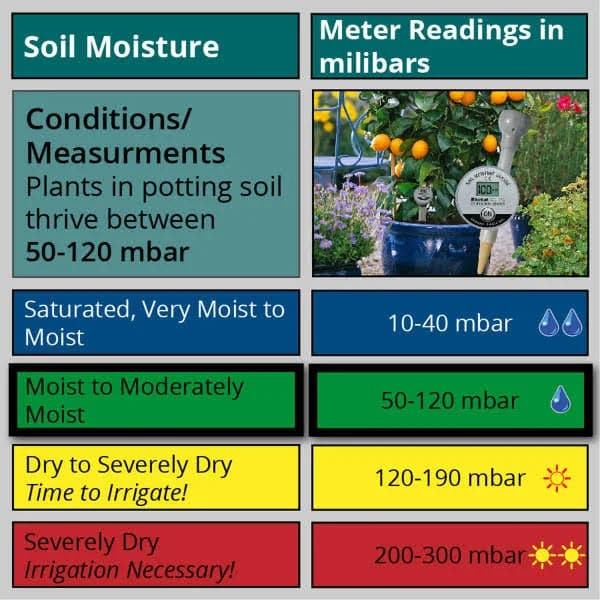 Blumat Digital Moisture Meter 20cm