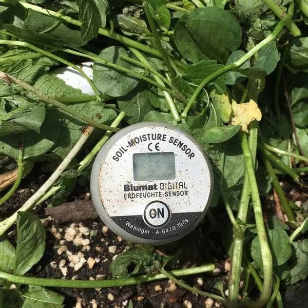 Blumat Digital Moisture Meter 20cm