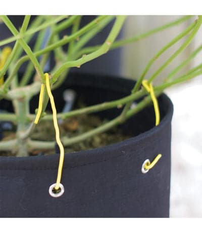 Bud Trainer BudHuggers - Green Genius