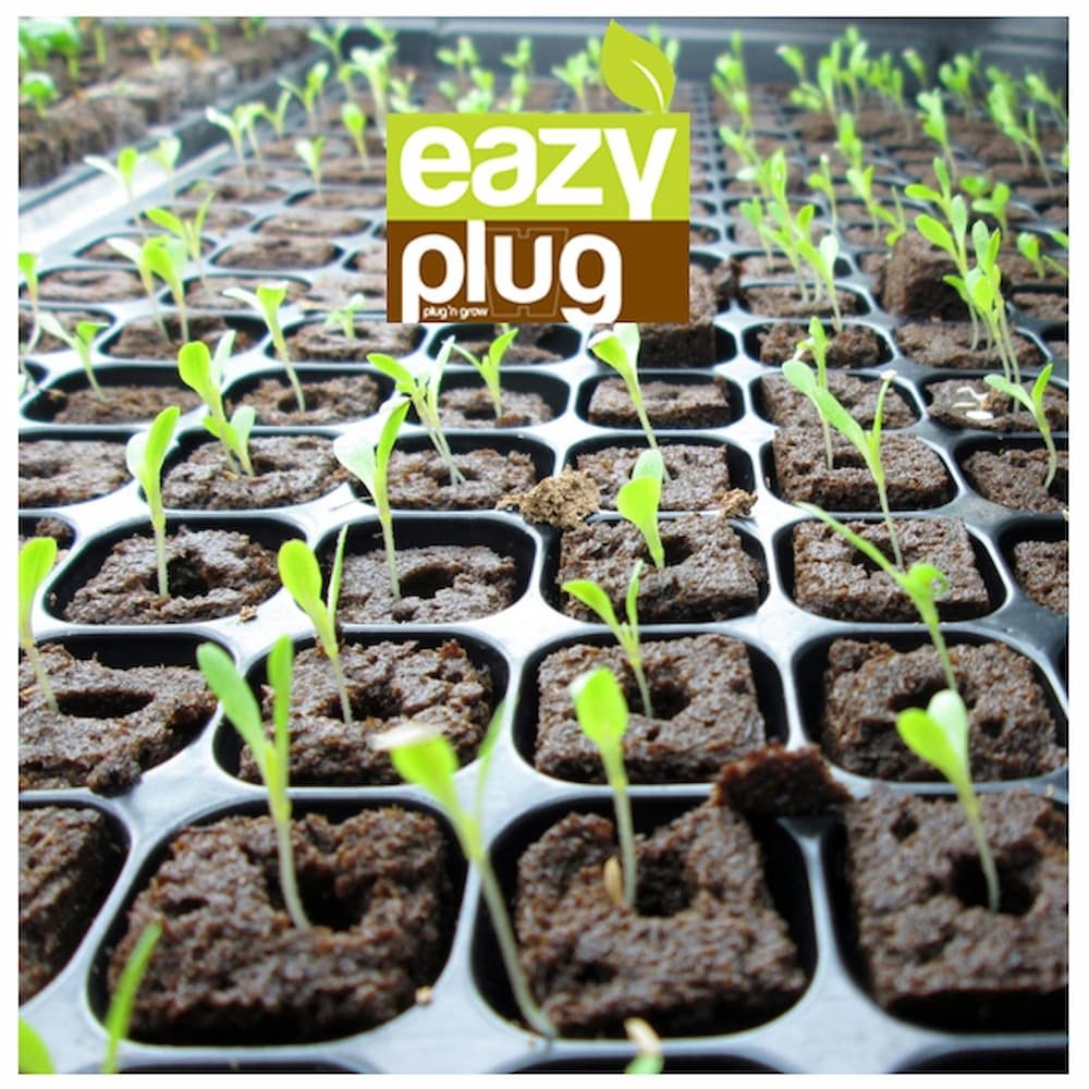 Eazy Plug Seed Sowing Kit