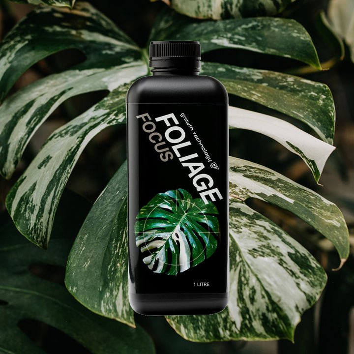 Growth Technology Foliage Focus