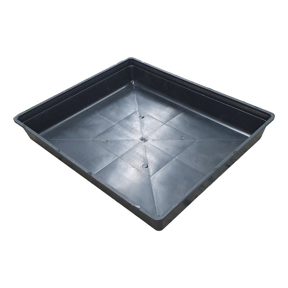 Hydro Seedling Tray for Clean, Controlled Growth | Green Genius