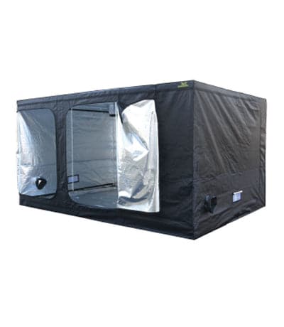 Jungle Room Tents