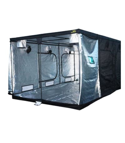 Jungle Room Tents