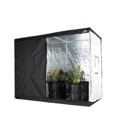 Jungle Room Tents