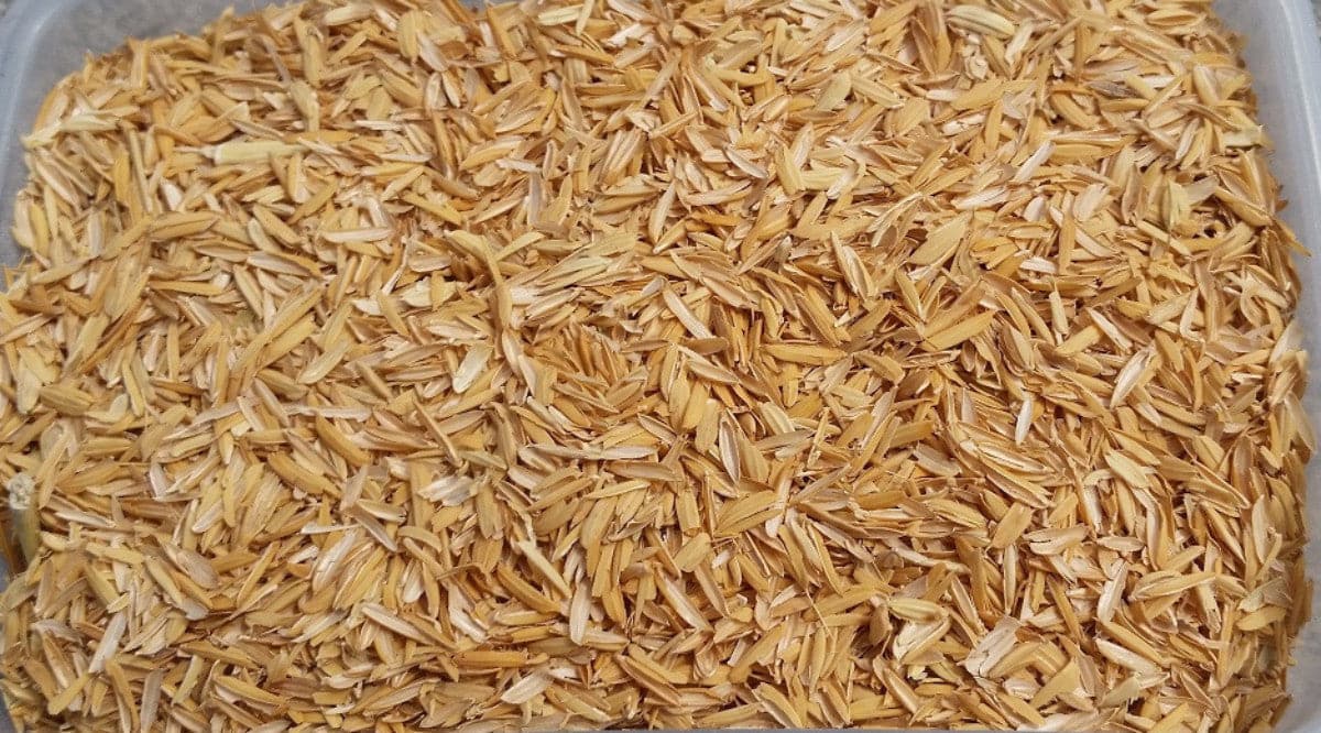 Organic Gardening Solutions Rice Hulls 25L (3.5kg)