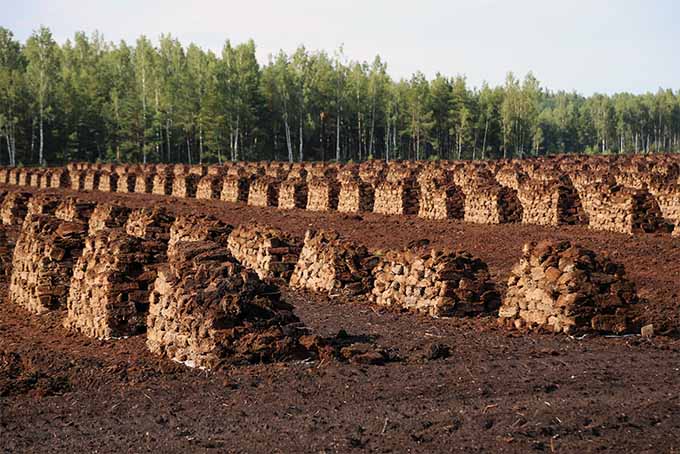Organic Gardening Solutions Sphagnum Peat Moss